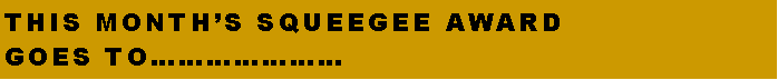 Text Box: THIS MONTHS Squeegee award GOES to